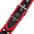 Harness black-red