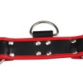 Harness black-red