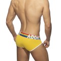 Addicted 6-pack rainbow brief  AD1142