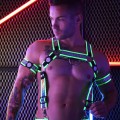 Breedwell Reflector Bulldog Body Harness bright green