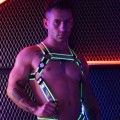 Breedwell Reflector Bulldog Body Harness bright green