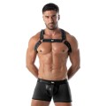 TOF Paris Bad Boys  Neoprene Bulldog Harness black TOF256N