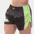 Barcode Shiny Shorts Darin 92045 C-173 black-green-pink