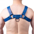 Harness in natural leather blue