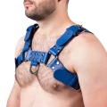 Harness in natural leather blue