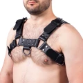 Harness in natural leather black