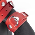 Masculo Leather Eddy bear with RED leather accessories